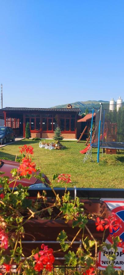 Tîrgu OcnaPopas Turistic Terasa Europa别墅 外观 照片